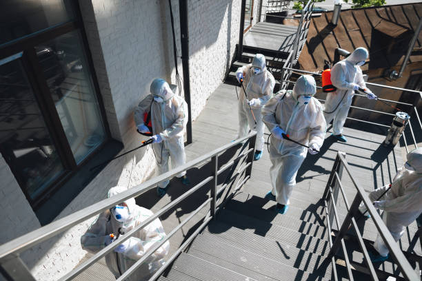 Professional Mold Removal in Lost Hills, CA